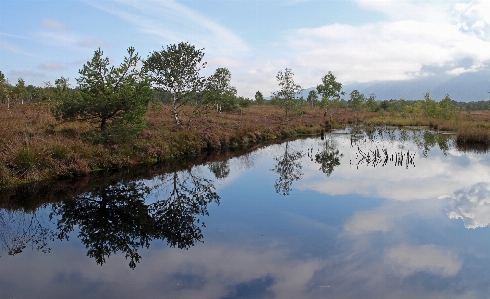 Landscape tree water nature Photo