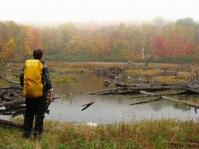 Man landscape forest outdoor Photo