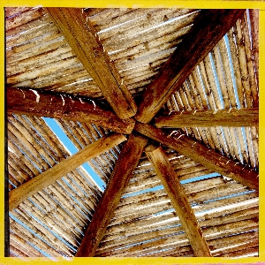 Beach wood leaf floor Photo