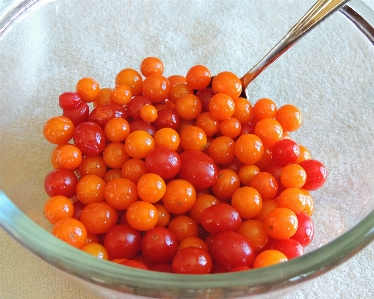 Plant fruit ripe orange Photo