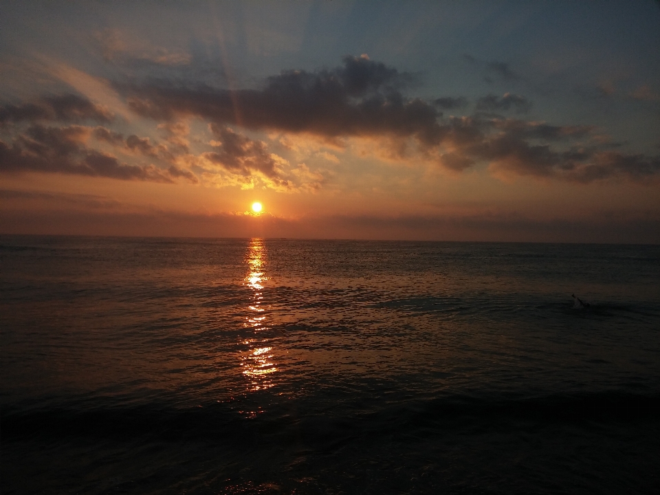 Beach sea coast nature