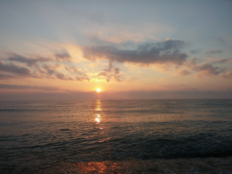 Beach sea coast nature