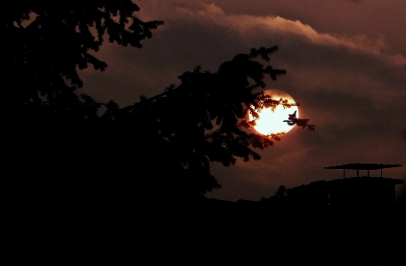 Tree light cloud sky Photo