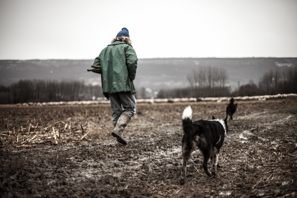 Winter feld landschaft hund