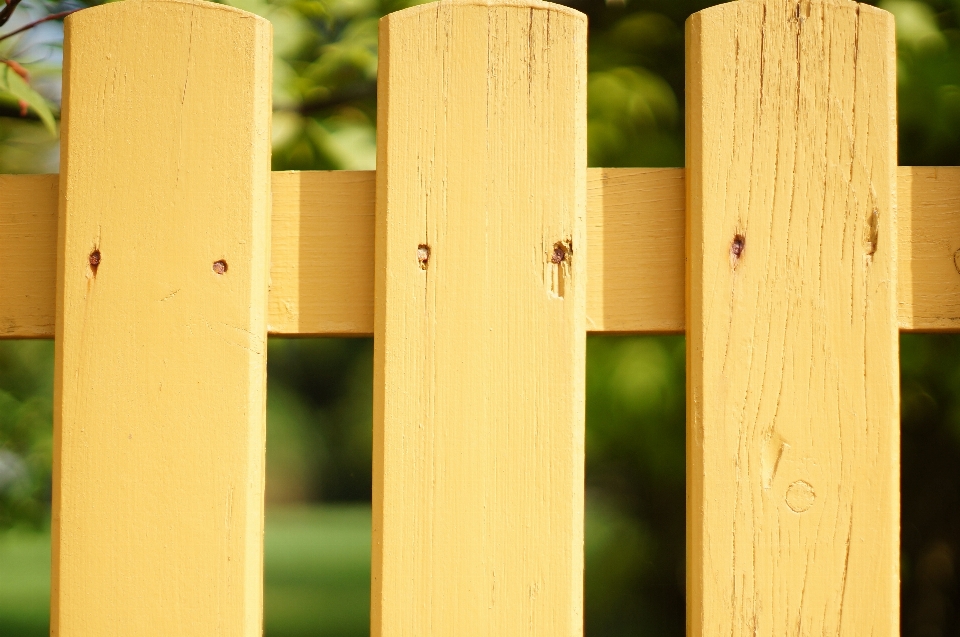 Nature fence structure wood