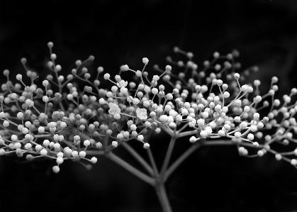 Photo Bifurquer noir et blanc
 usine blanc