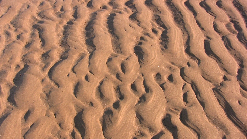 Beach coast outdoor sand