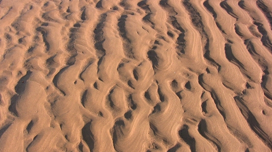 Beach coast outdoor sand Photo