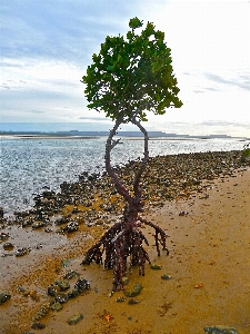 Beach landscape sea coast Photo