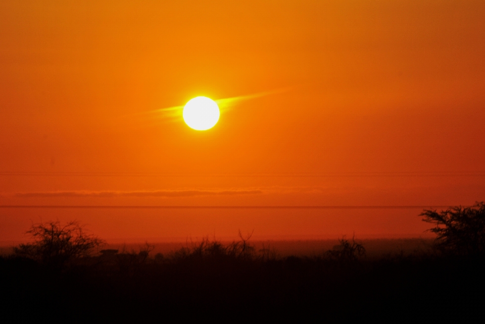 地平線 空 太陽 日の出