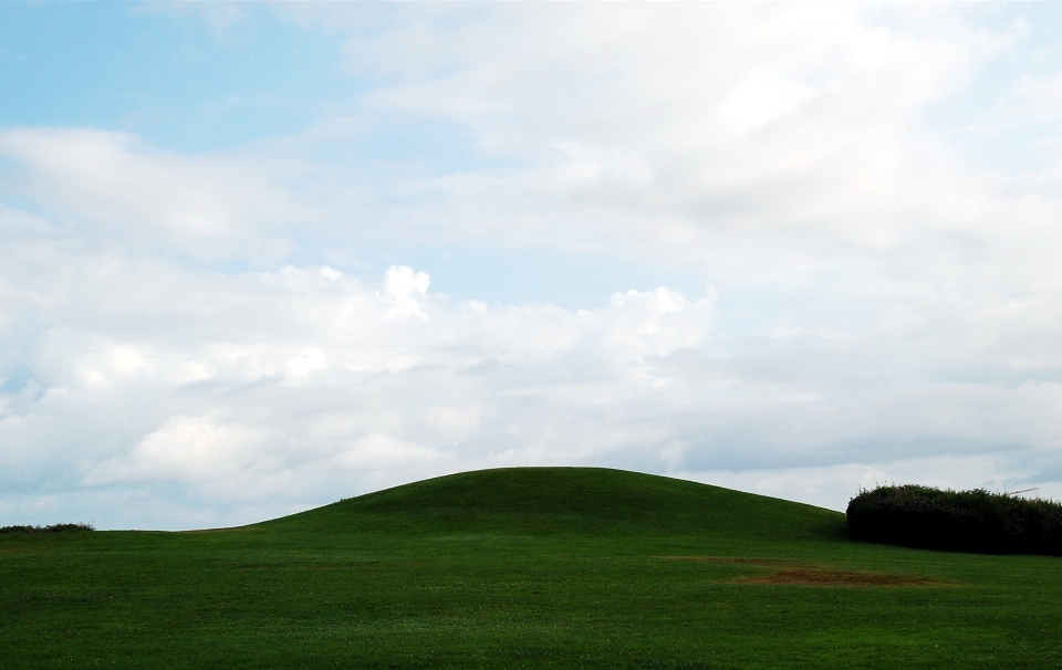 Paysage arbre nature herbe