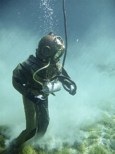 Person diving underwater biology Photo