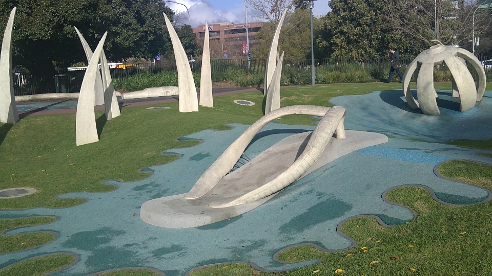 Kolam renang
 taman halaman belakang
 kebun