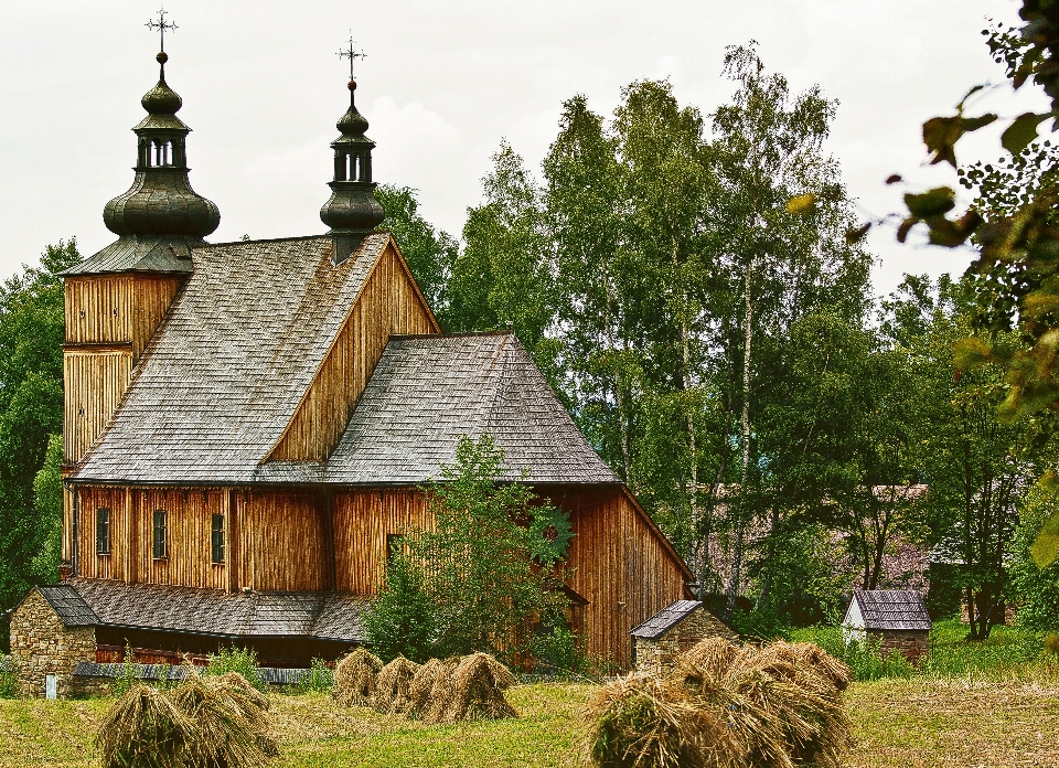 Drzewo architektura pole dom