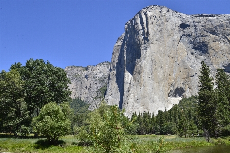 Forest outdoor rock wilderness Photo