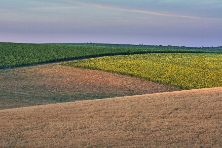 Landscape nature grass horizon Photo