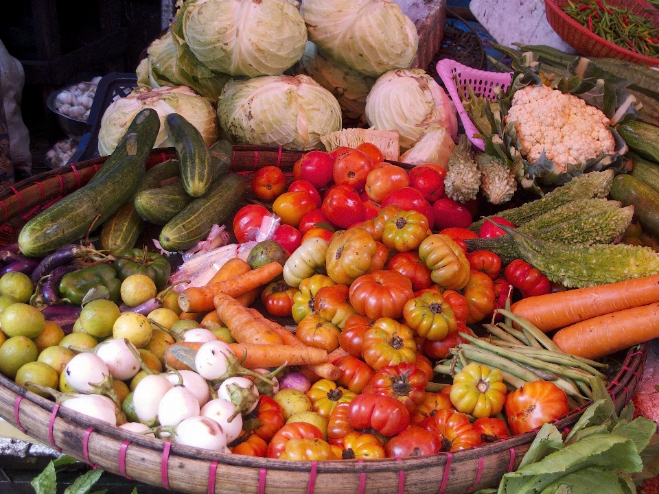 Cidade prato comida verde