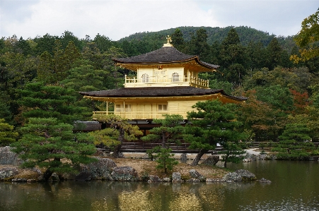 Landscape tree water architecture Photo