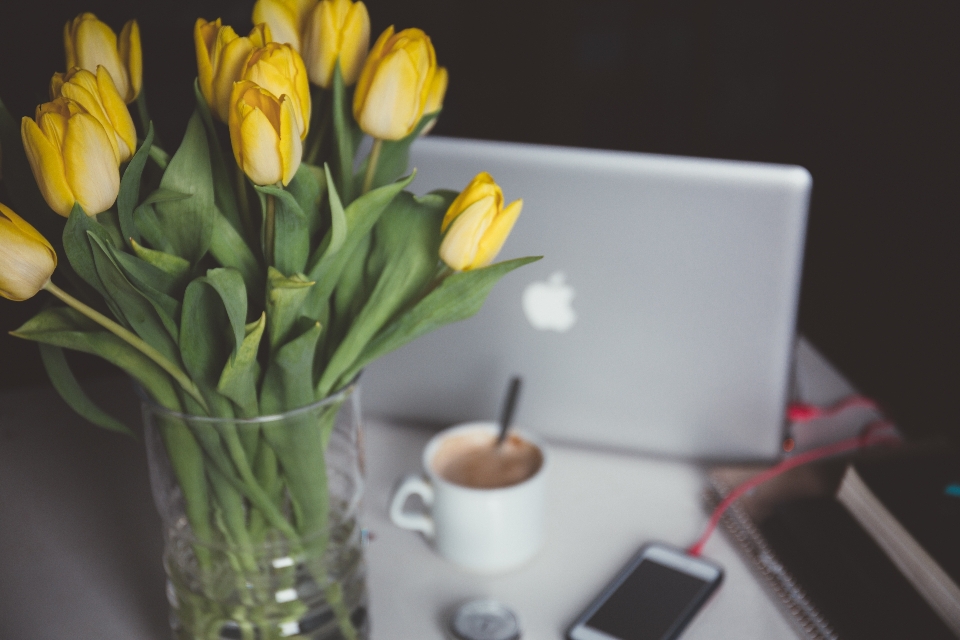 Laptop macbook blossom plant