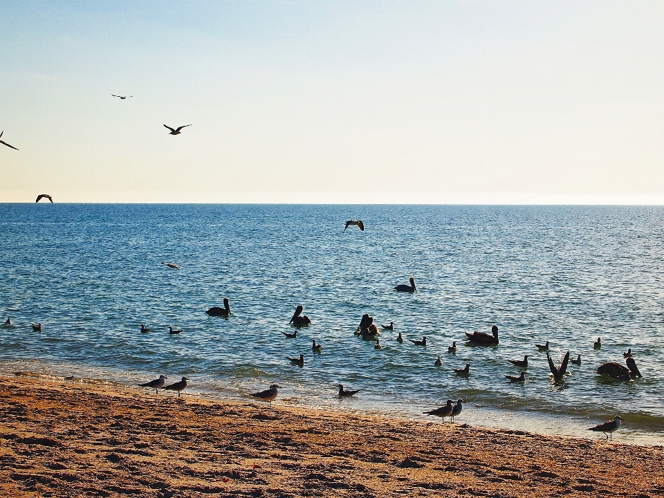 Pantai lanskap laut pesisir