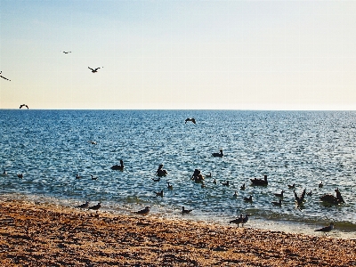 Beach landscape sea coast Photo