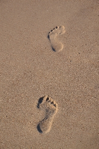 Hand beach sea water Photo