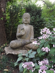 Rock flower stone monument Photo