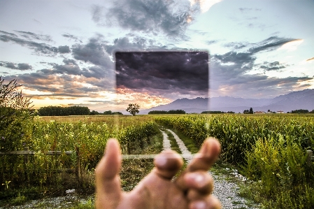 Hand landscape tree nature Photo