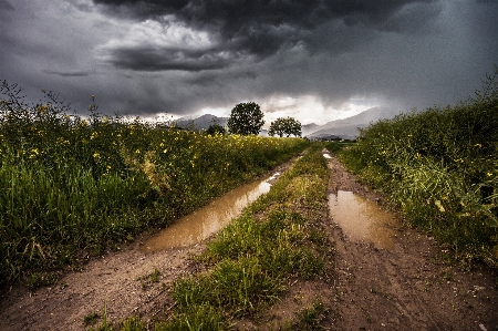 Landscape nature grass cloud Photo