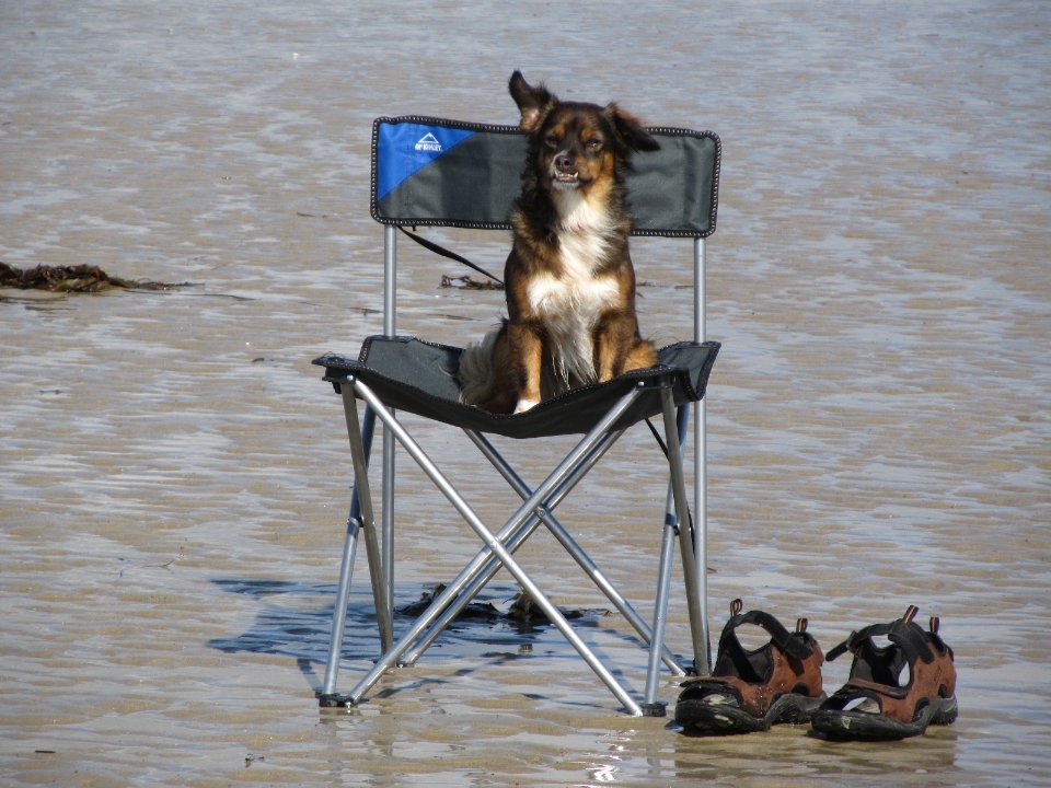 Beach sea water chair