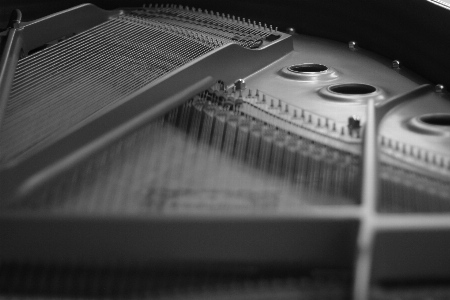 Foto Musica bianco e nero
 strumento pianoforte