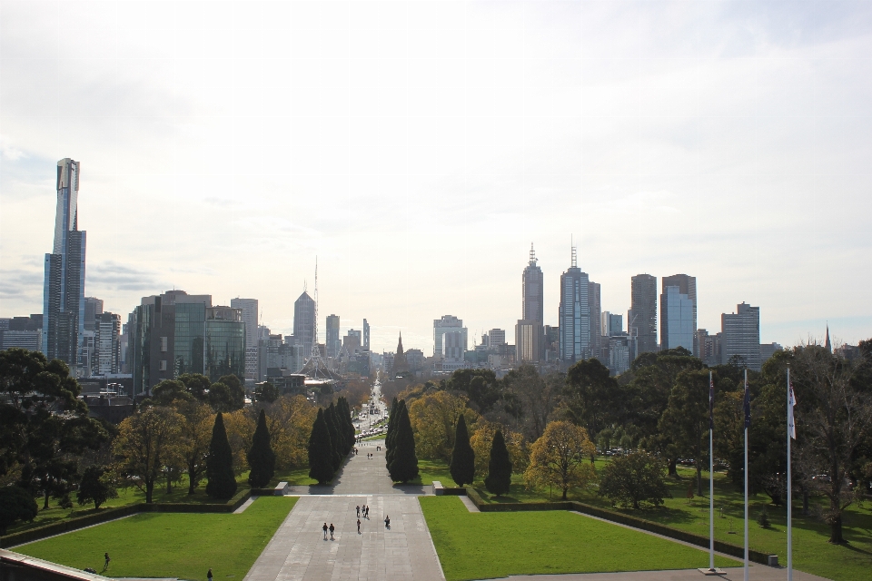 Grass horizon skyline city