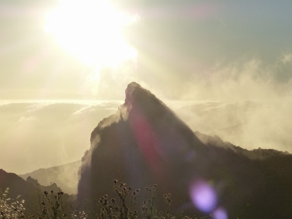 Natur horizont berg licht