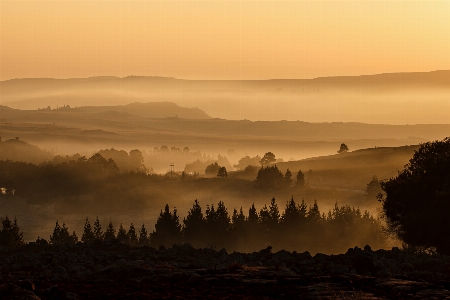 Landscape nature horizon wilderness Photo