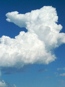 Cloud sky white atmosphere Photo