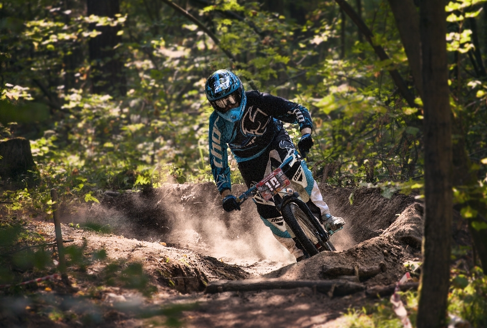 Forêt piste sport aventure