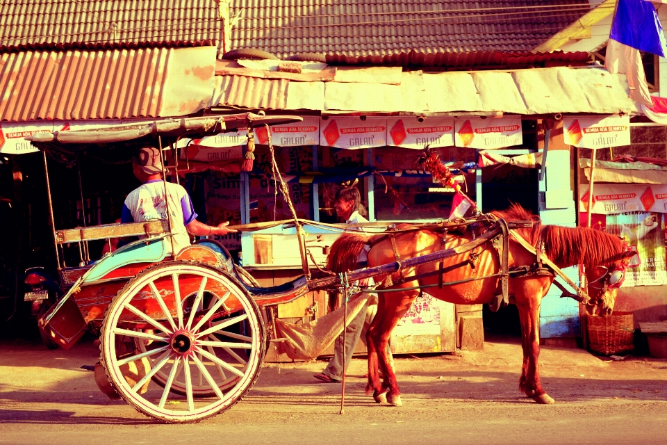 Cart transportation rural vehicle