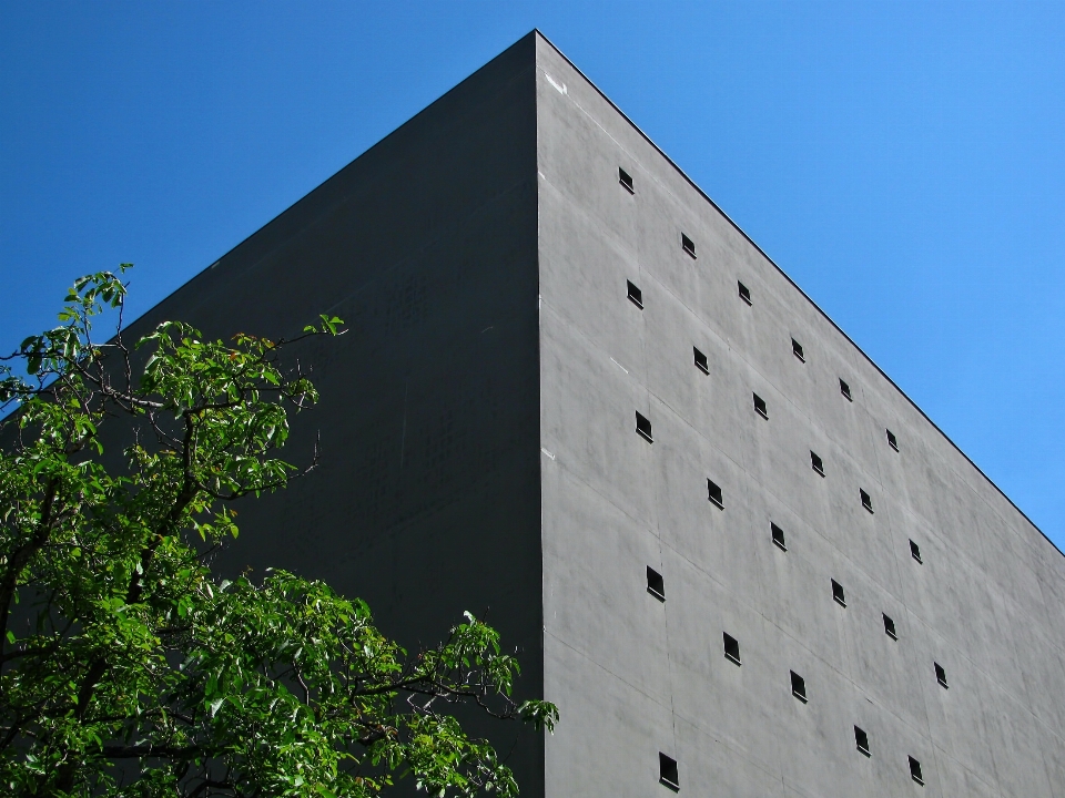 Baum abstrakt die architektur himmel