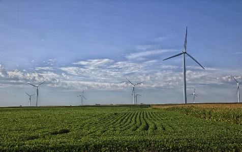 Nature sky field farm Photo