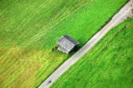 Landscape grass field lawn Photo