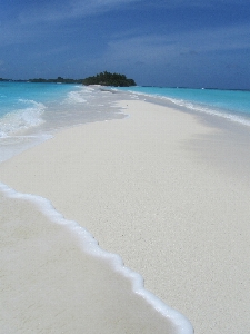 Beach sea coast sand Photo