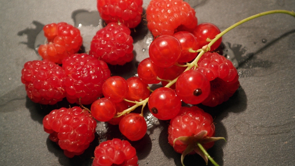 Forêt usine framboise fruit