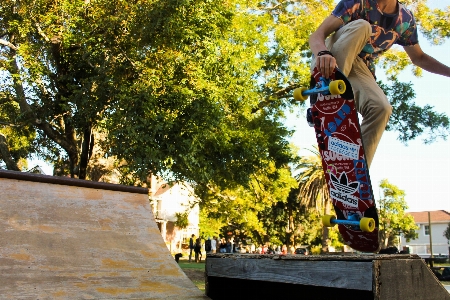 Foto Pohon luar ruangan olahraga skateboard