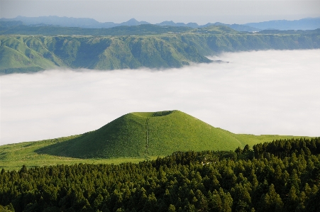 Foto Paesaggio albero natura foresta