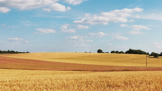 Landscape horizon cloud plant Photo