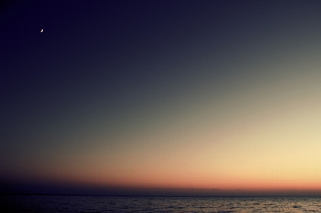 Beach sea coast ocean Photo