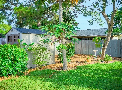 Tree fence lawn villa Photo