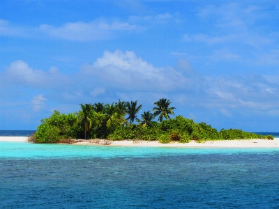 Beach landscape sea coast Photo