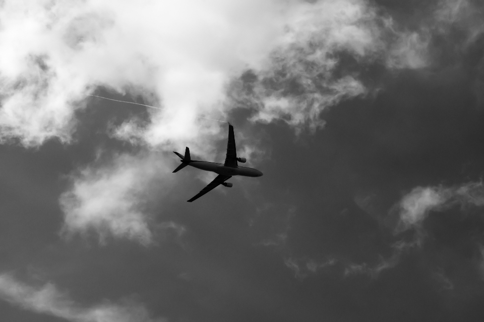 羽 クラウド 黒と白
 空