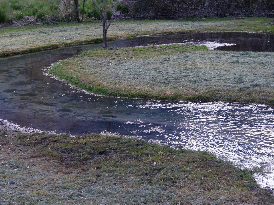 Water marsh shore river